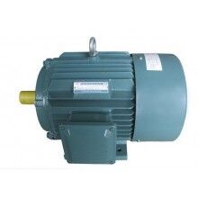YN系列變頻調(diào)速三相異步電動機(jī)