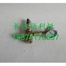 批發(fā)原裝正品攪拌機(jī)配件，三一JX3000潤(rùn)滑油泵芯